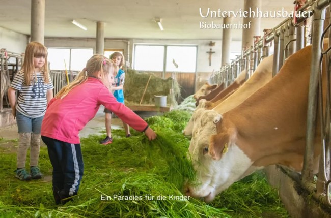 Urlaub am Bauernhof am Unterviehhaushof ist ein Paradies für Kinder