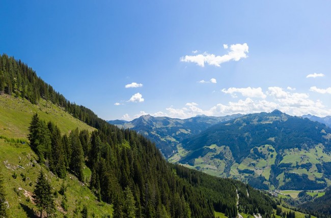 Blick von der Viehhausalm ins Tal