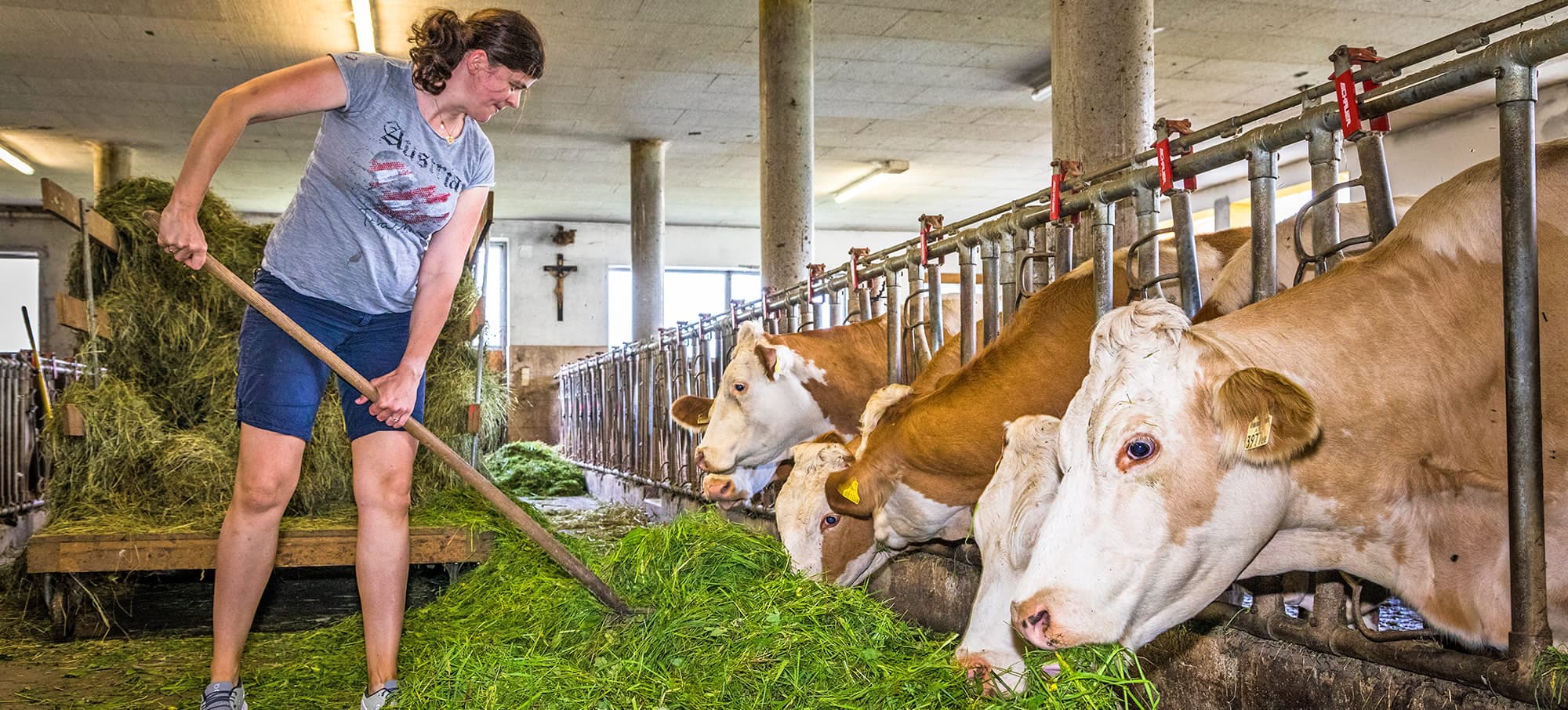Urlaub beim Bio-Bauernhof Untervierhhausbauer in Großarl im Großarltal im Tal der Almen