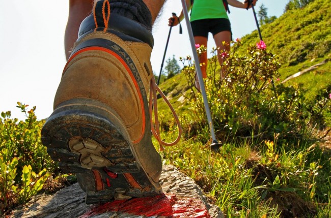 Wandern im Großarltal im Tal der Almen