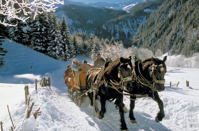 Romantische Pferdekutschenfahrt